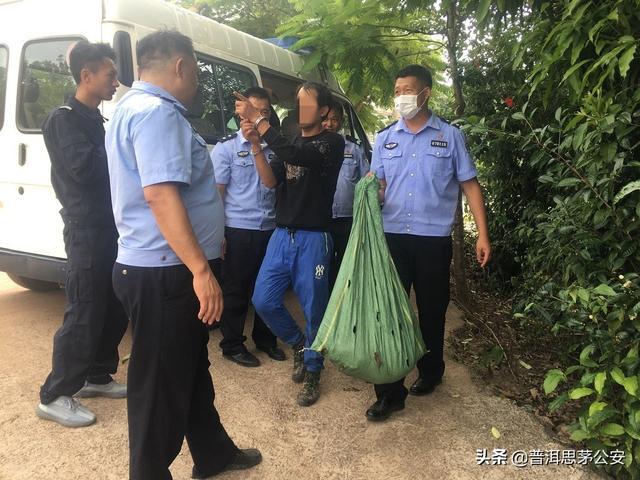 两人疯狂偷鸡18次终获制裁，法律的正义与警示作用