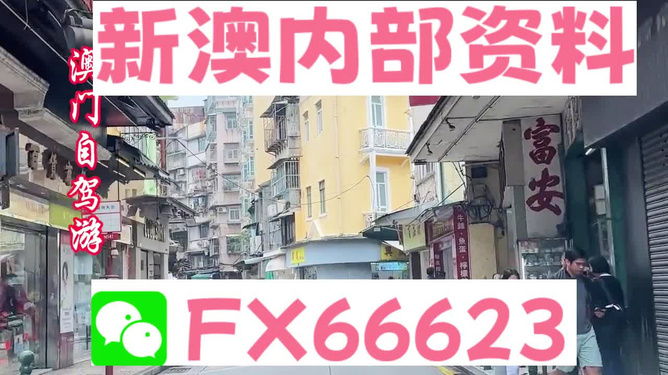 新澳精选资料免费提供,精细定义探讨_精装款31.485