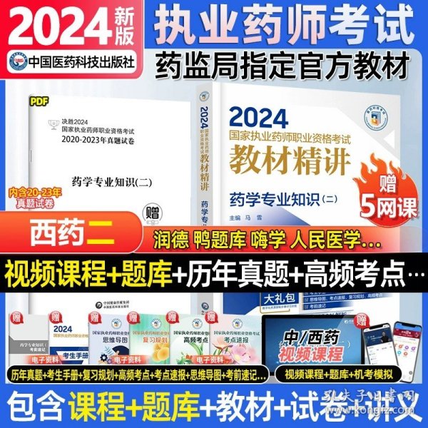 新澳2024正版免费资料,数据解析支持计划_Android251.381