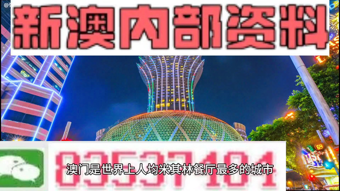 新澳2024年精准特马资料,实证数据解析说明_V版45.464