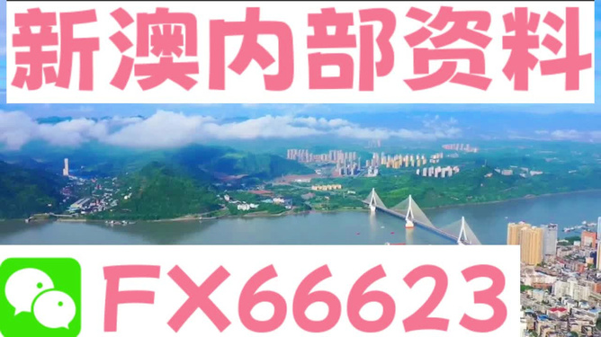 新澳精准资料免费提供208期,灵活解析执行_V版84.452