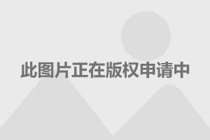 中信证券解读央行降准影响，政策走向与资本市场反应分析