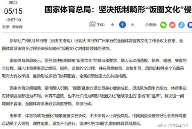 饭圈文化现象深度解析，影响与反思