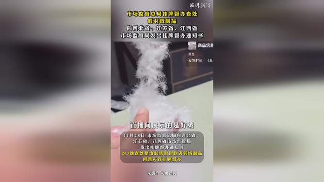 官方挂牌督办严打假羽绒制品，保障消费者权益与产业健康发展