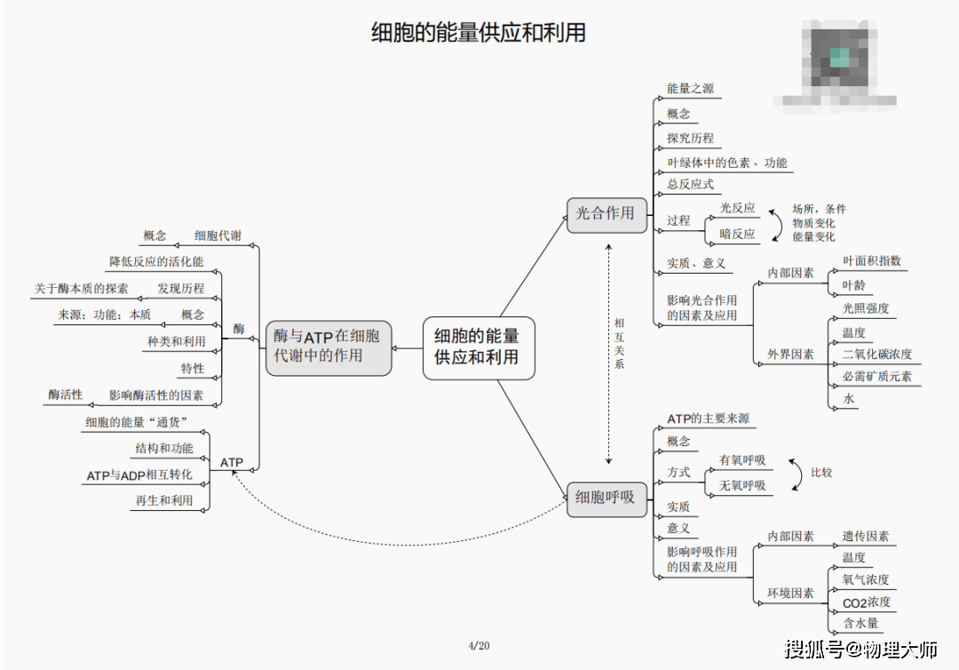 揭开犯罪面纱，黄大仙三期必开一肖揭秘