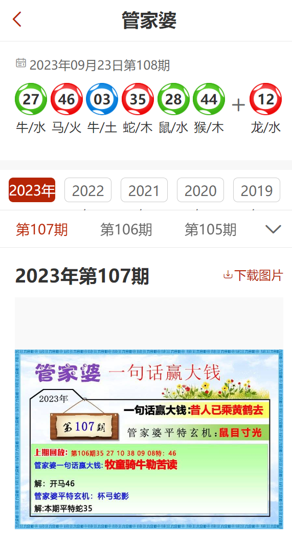 管家婆2024精准资料成语平特，智慧与精准的独特魅力揭秘