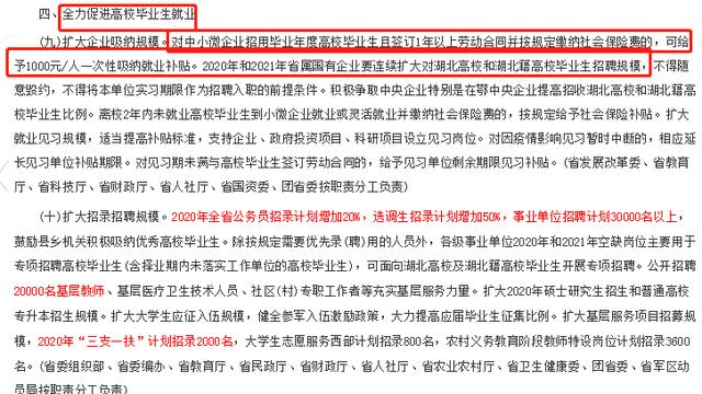 事业编考试应届生是否视为社会人员，探讨与解析