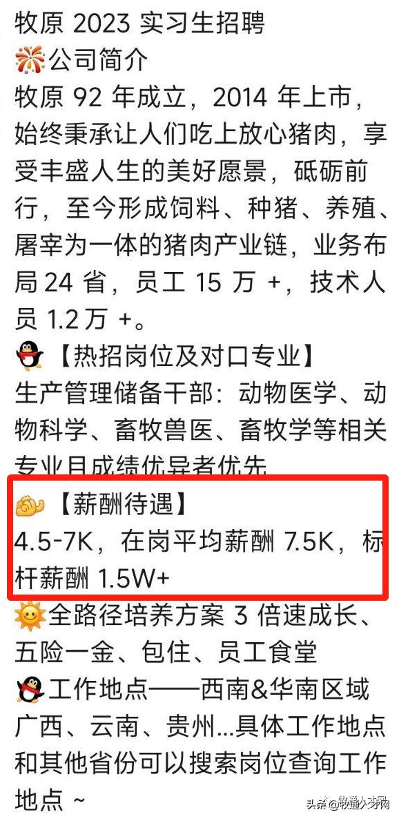 事业单位财务岗待遇详解，深入了解与解析