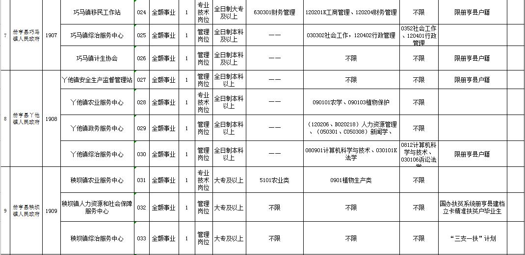 事业单位信息技术岗专业知识应用与挑战解析