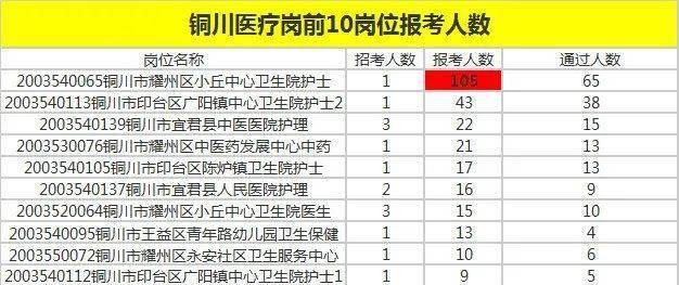 大专生事业编制岗位全览，岗位概览与职业发展路径