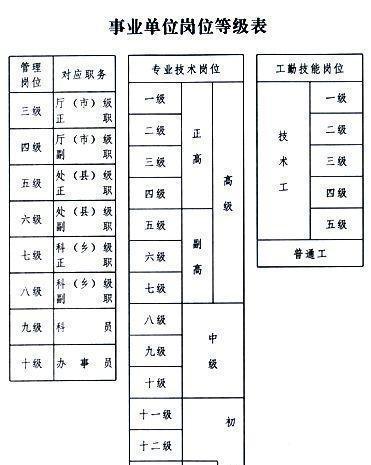 事业单位招聘岗位等级制度，构建高效人才管理体系的核心之道