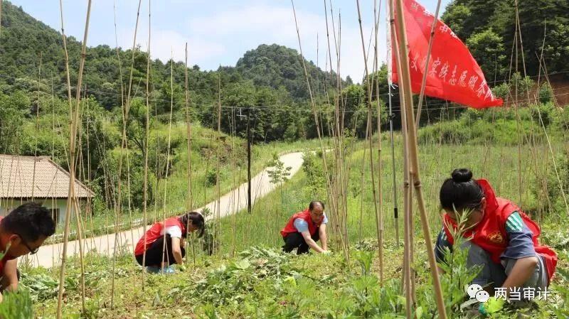 区审计局事业编，职责、挑战与职业前景展望