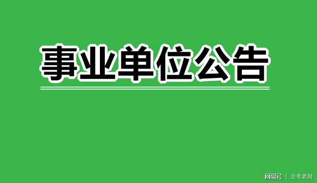 深圳南山区事业单位招聘，人才汇聚的繁荣之地启动招募