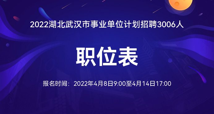 武汉事业单位招聘网研究报告，深度解析与探讨