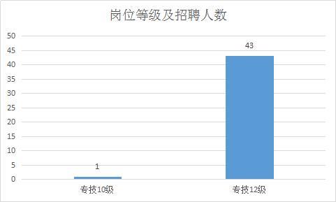 重庆酉阳事业编制招聘岗位详解与分析