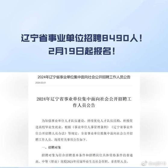 辽宁事业单位招聘，机遇与挑战的交汇点