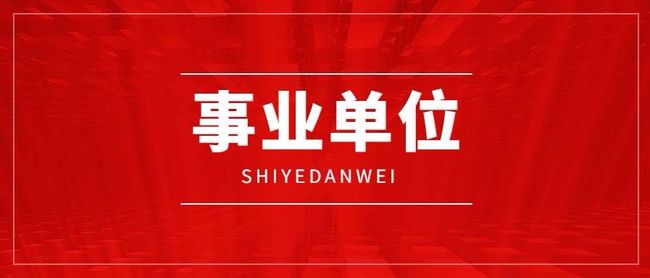 事业编招聘信息查看指南，全面解析与实用指南