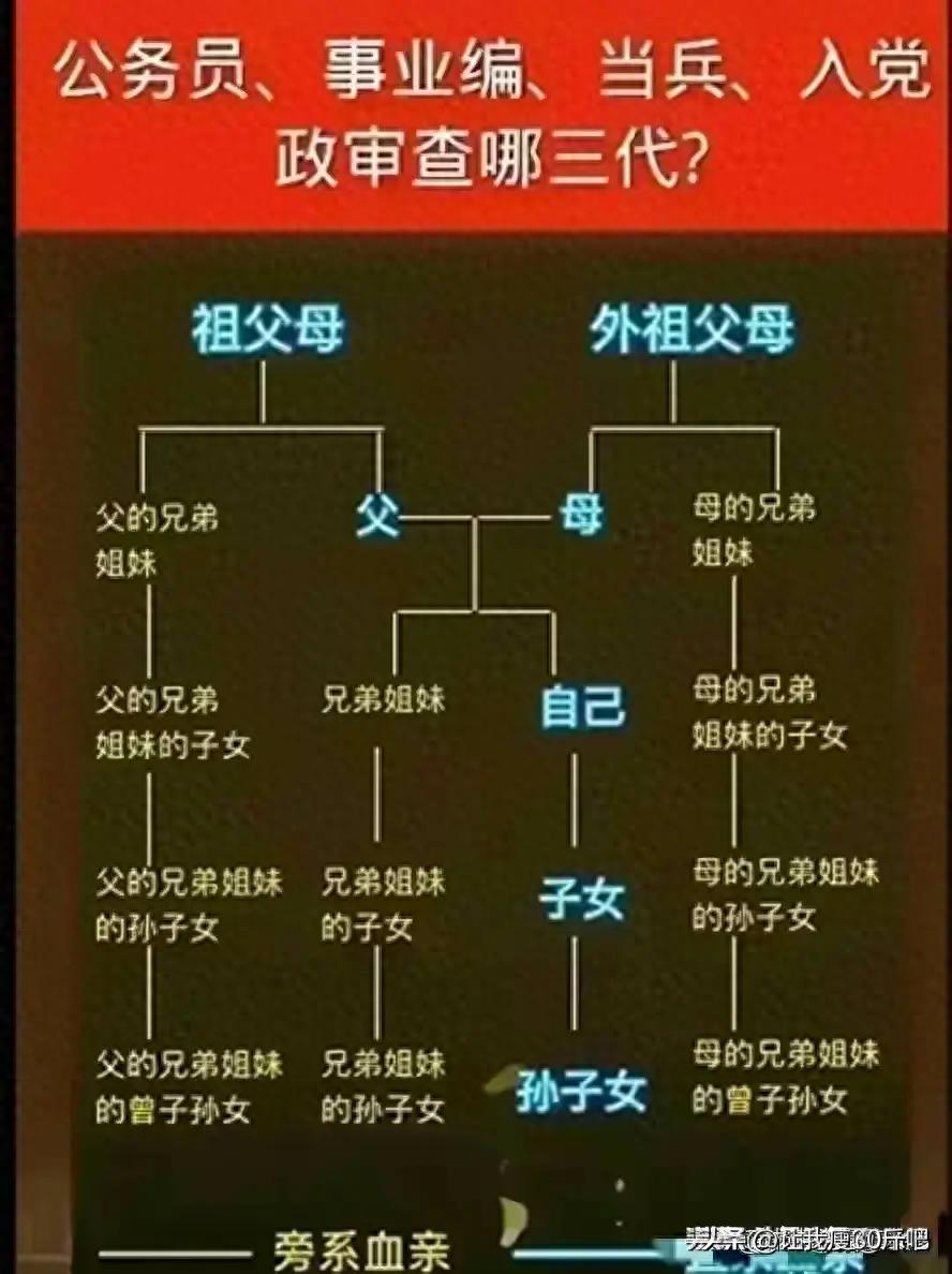 事业编政审三代，全面解读与深入理解