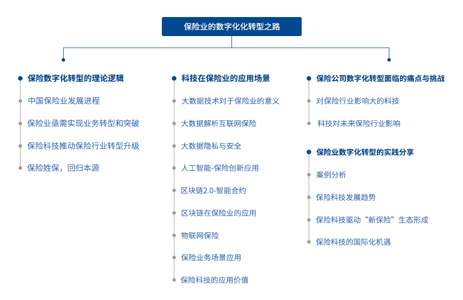 保险行业数字化改革与理赔程序简化研究