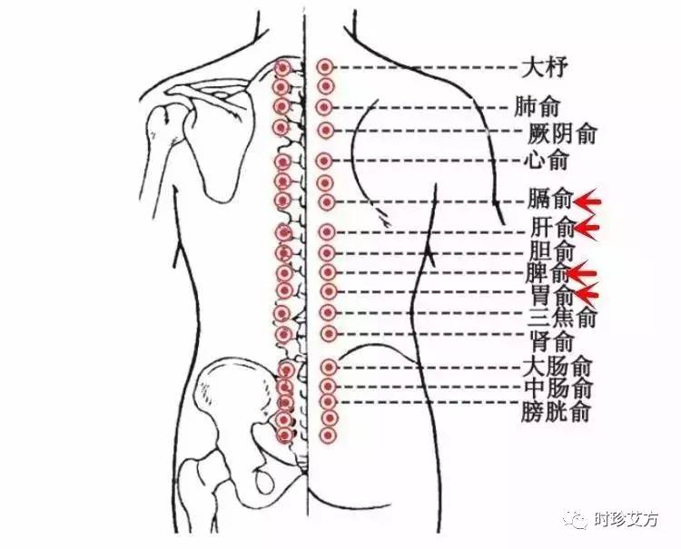 中医艾灸疗法缓解背部疼痛技巧