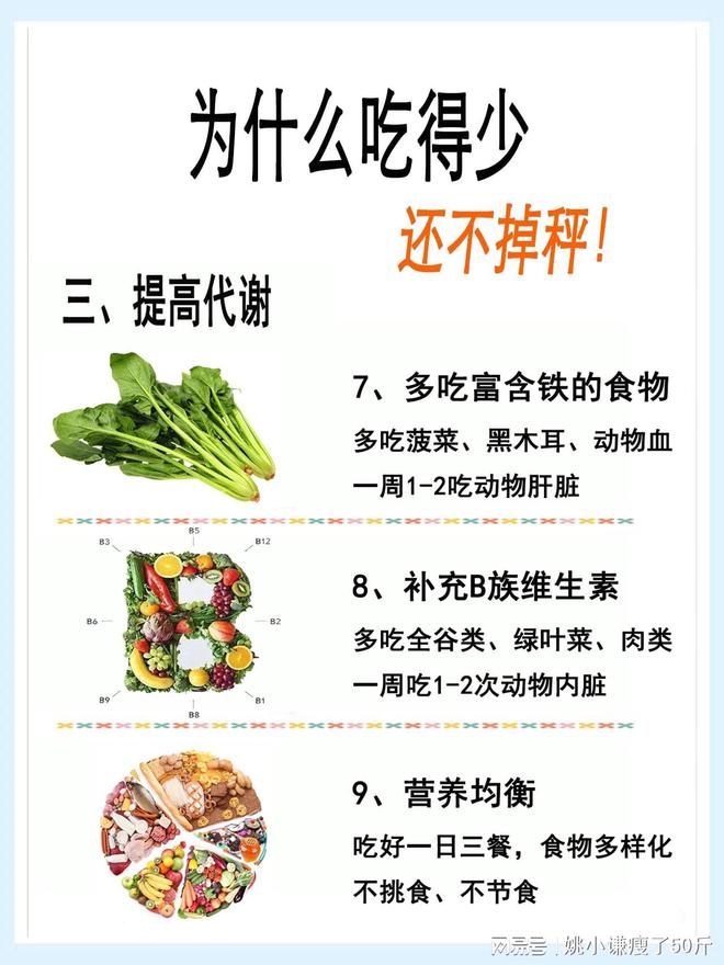 现代都市人的饮食调养秘籍，如何通过饮食调理身体？