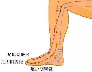 中医经络理论与日常按摩应用方法详解