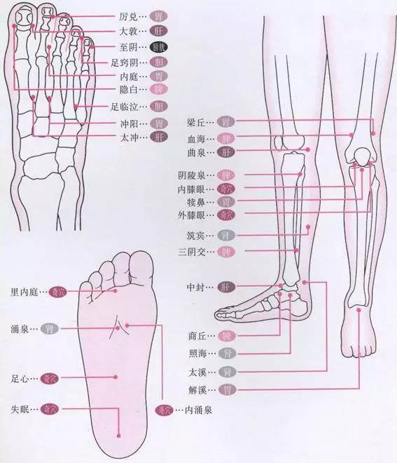 老年人全身经络按摩图解，操作指南与养生秘籍