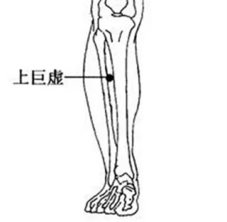 食疗缓解消化不良问题攻略