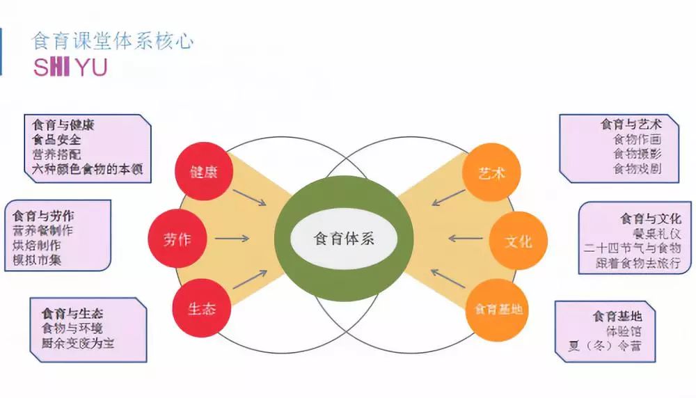 多元文化教育，培养全球化思维的催化剂