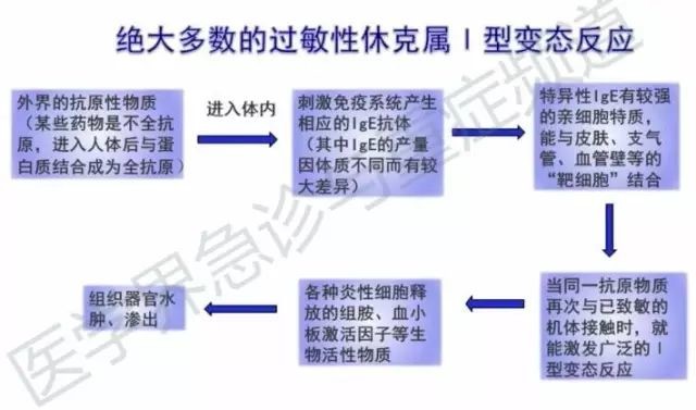 突发性过敏反应的家庭急救指南