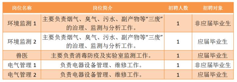 上海事业单位公开招聘考试，机遇与挑战的交织