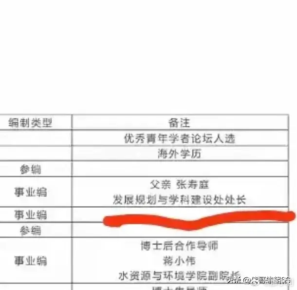 事业编招聘公示中的处长之子现象引热议，公平与公正的探讨