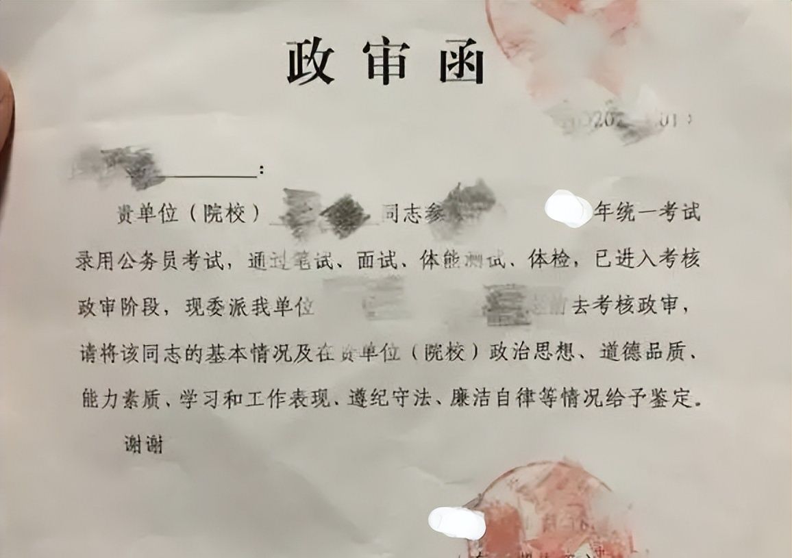 事业编政审不通过的原因深度解析