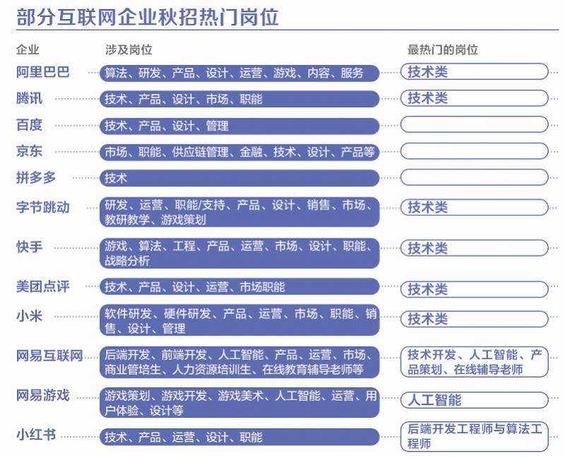 探索新星前端开发者，共筑数字未来之梦