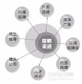 网络招聘渠道图片大全，探索之旅与启示