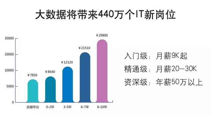 大数据毕业后就业岗位的多元化探索与实践