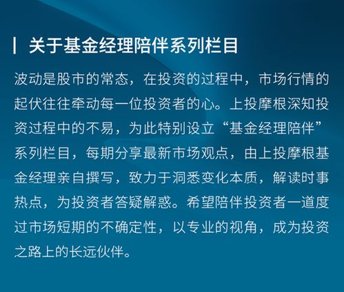 基金公司招聘基金经理要求深度解读，洞悉职位需求与必备素质