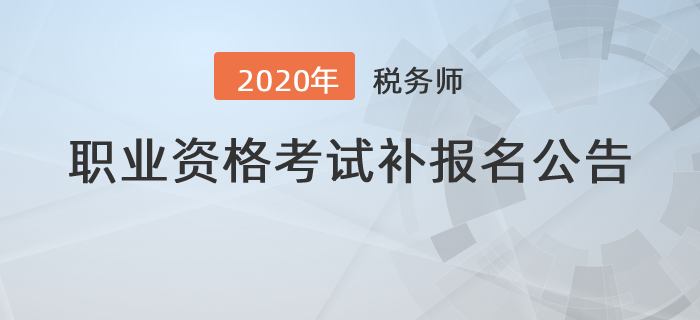 关于税务招聘条件的探讨，聚焦2020年标准