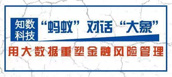 金融风险控制专员，构建企业稳健发展的核心力量招募启事