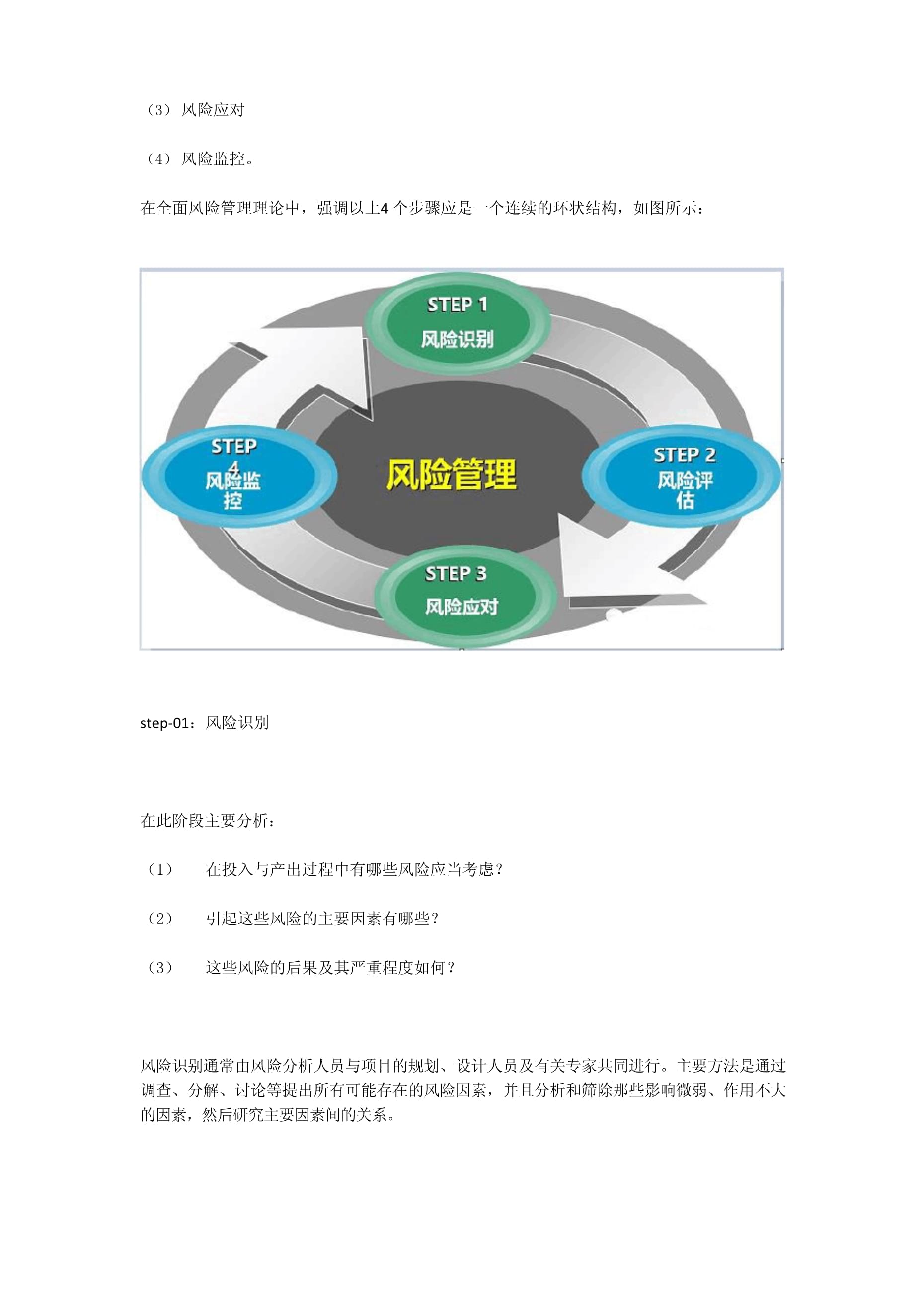 项目书，风险控制策略编写指南与操作指南