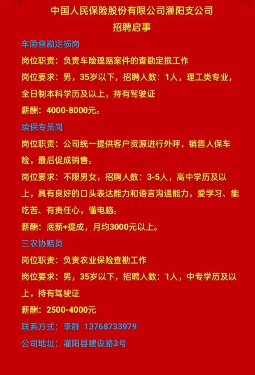 保险公司地区分公司招聘策略详解与招聘信息探讨