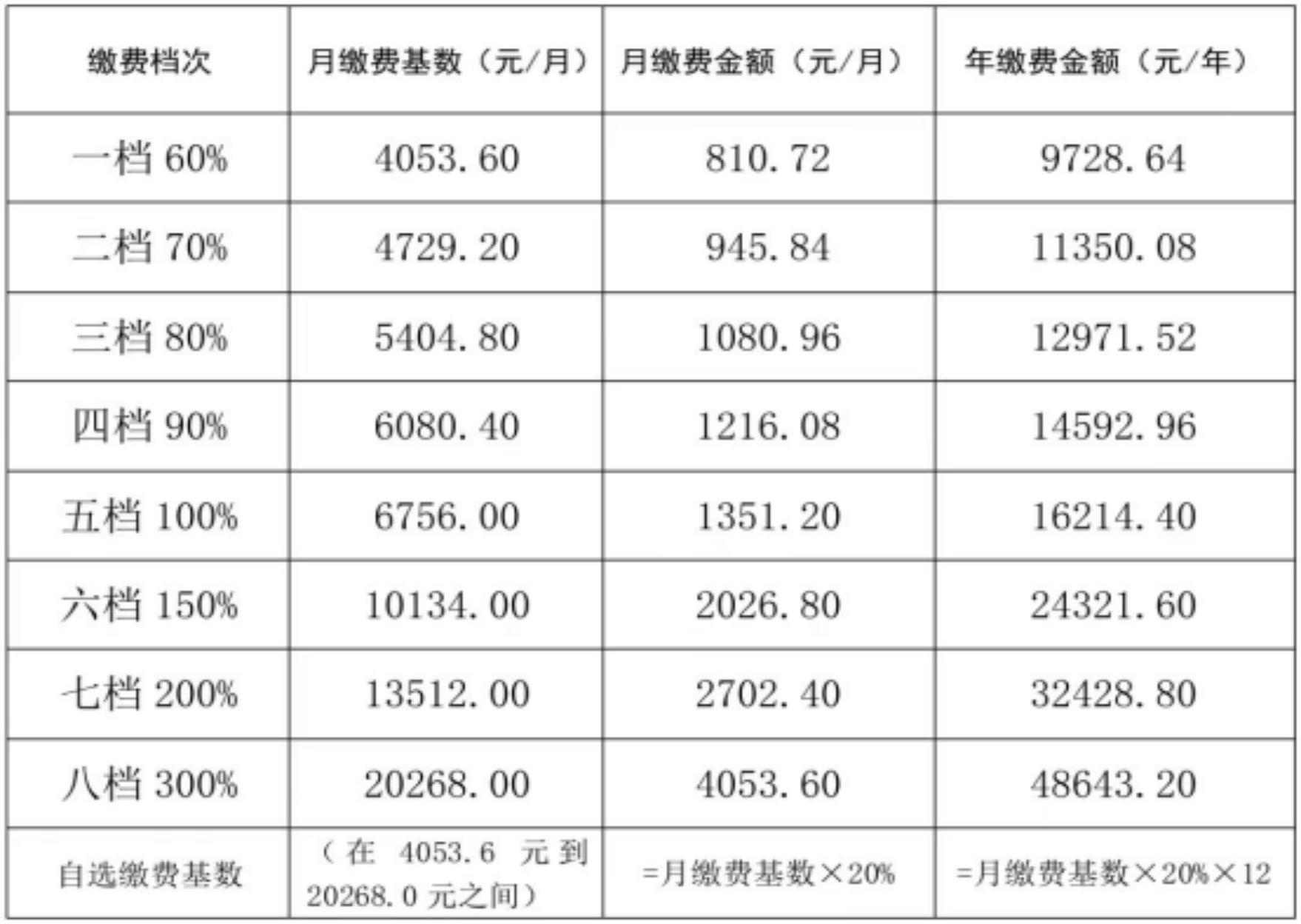 保险公司2024校园招聘启幕，寻找未来之星，我们在等你一同成长