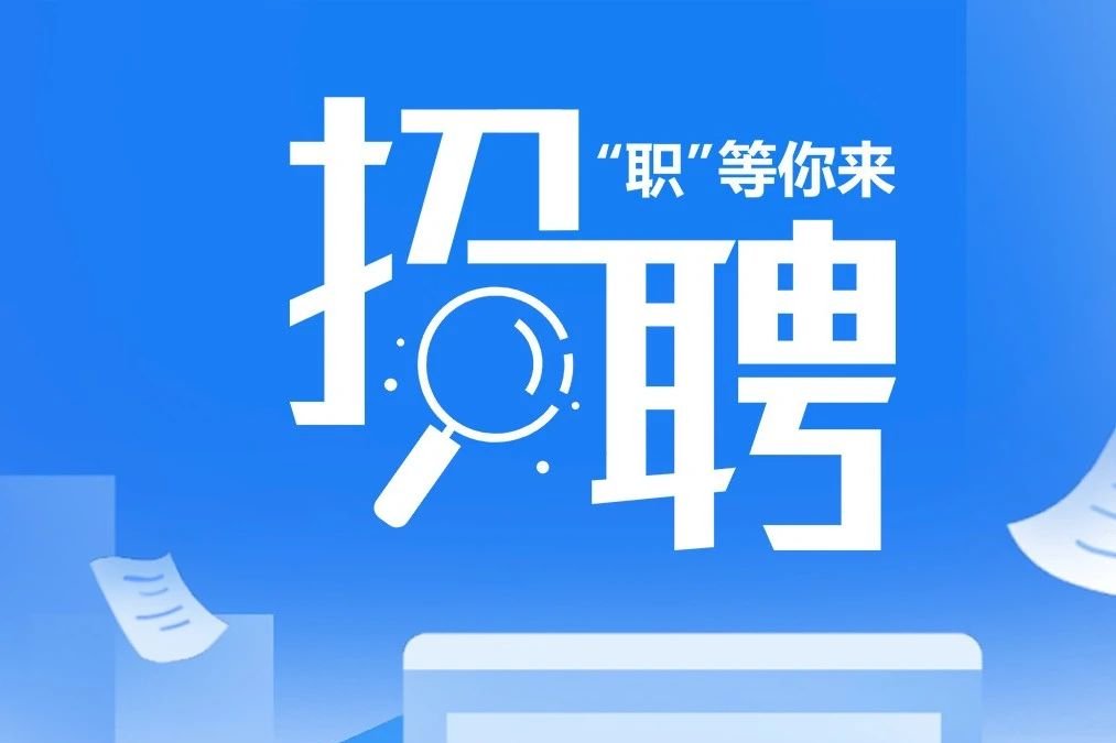 2024年秋招最新招聘信息全面解析