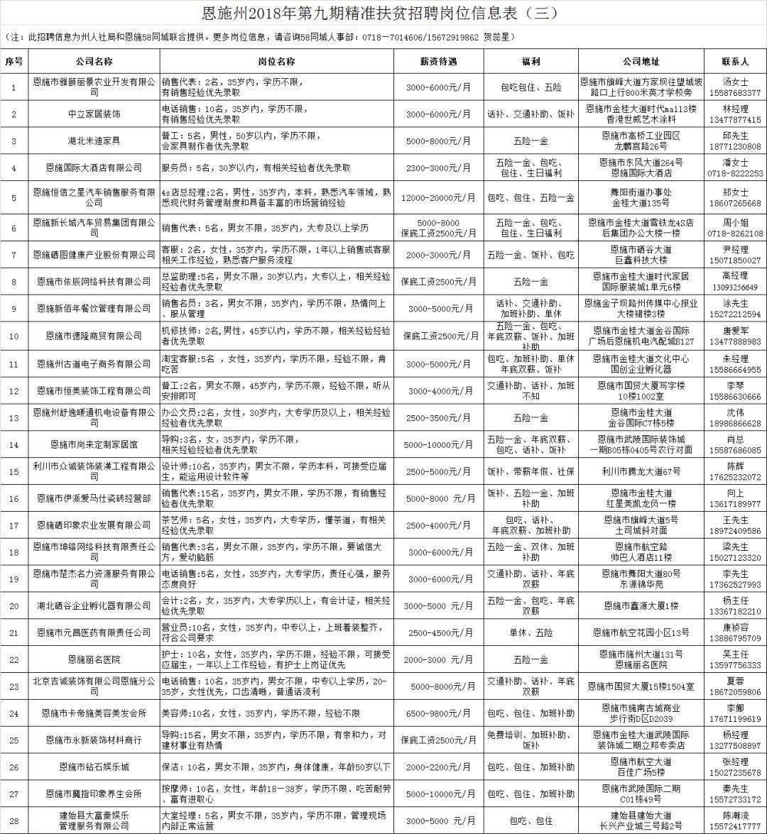 高效求职指南，招聘网与58找工作平台的结合使用探索