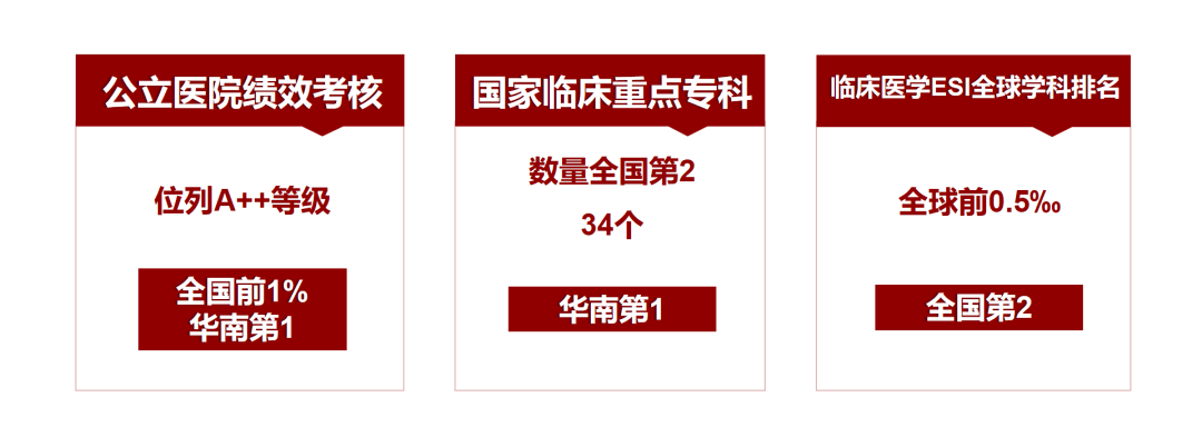 2024年301医院护士招聘启事，寻找医疗领域的守护者