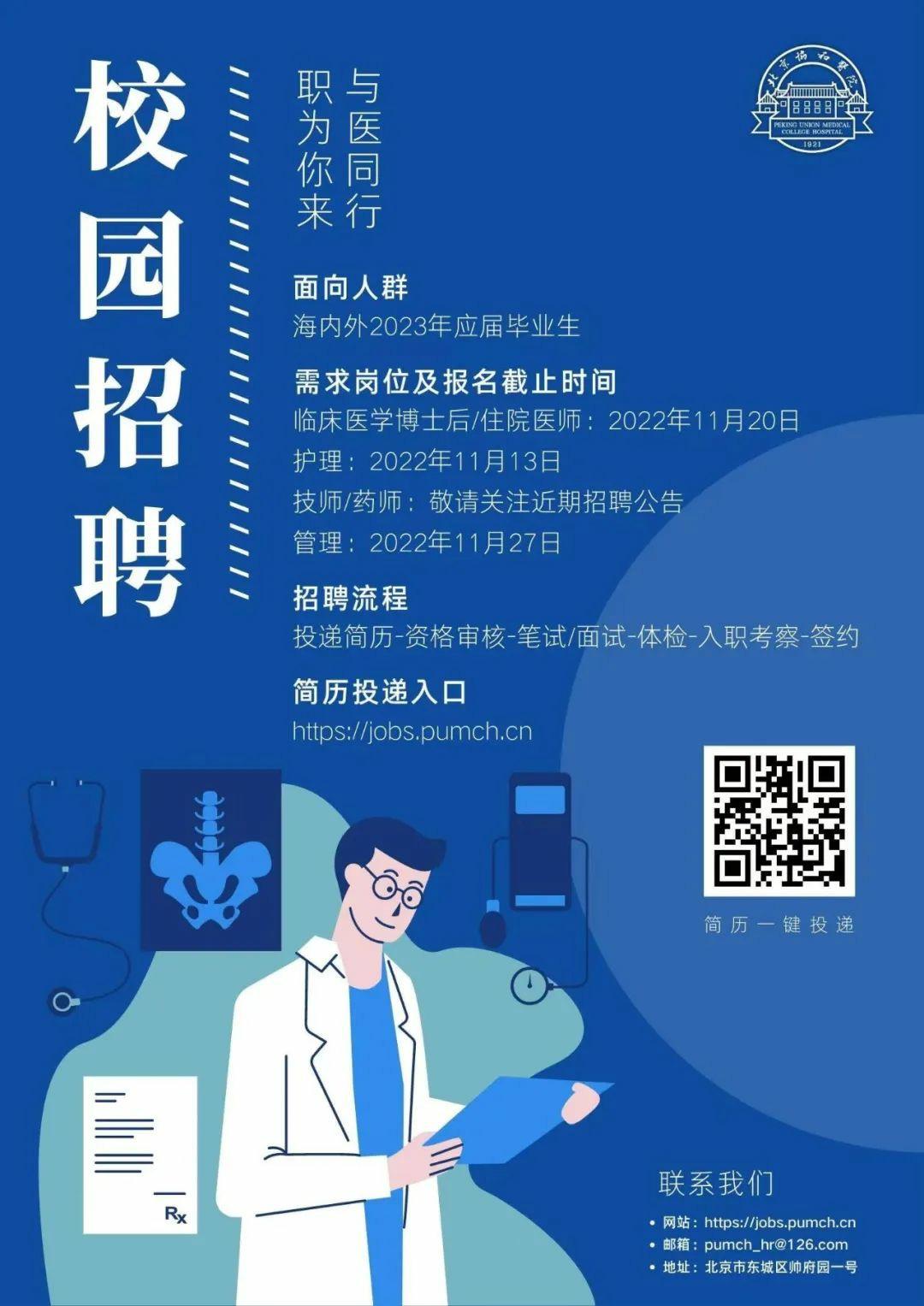 项目医生招聘，构建高效医疗团队的核心要素