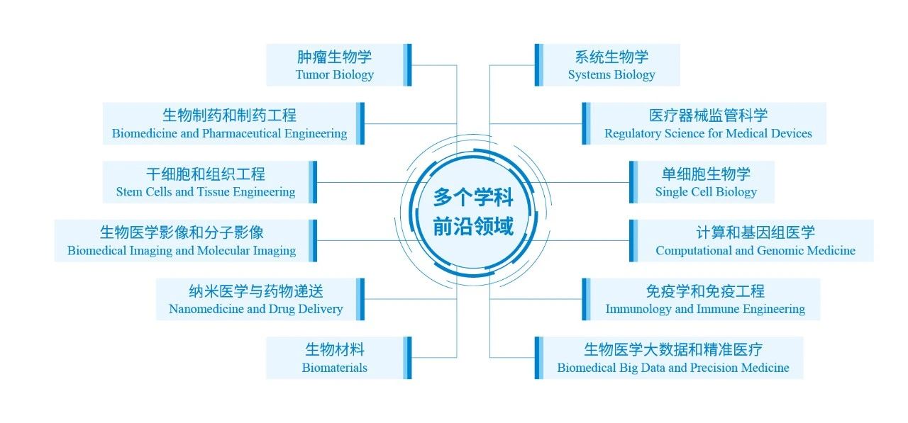 生物医学工程编制，未来医疗技术的核心引擎