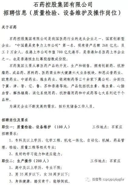 制药公司招聘员工的核心标准与要求解析