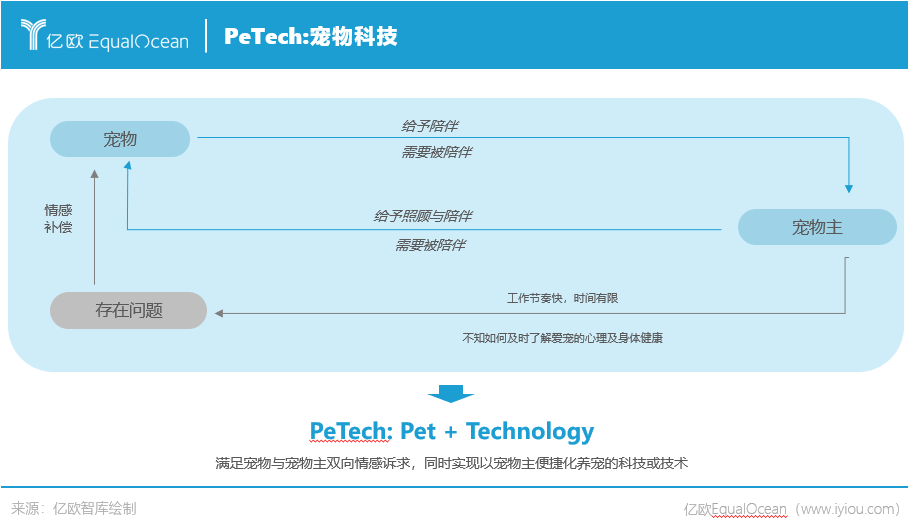 宠物医疗技术团队招募启事，共筑健康未来，打造专业宠物医疗团队