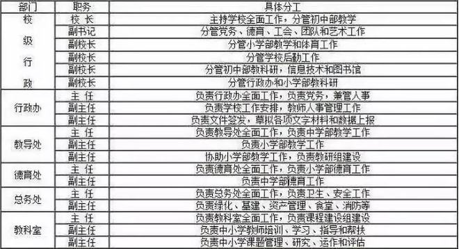 备战2025幼儿教师编制考试攻略及备考指南